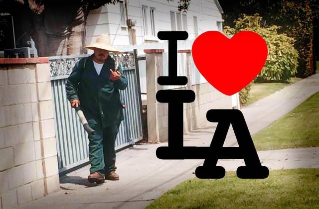 daily picdump weekend edition 74 pics 5.html - 74 HD Photos | Premium Gallery 2017