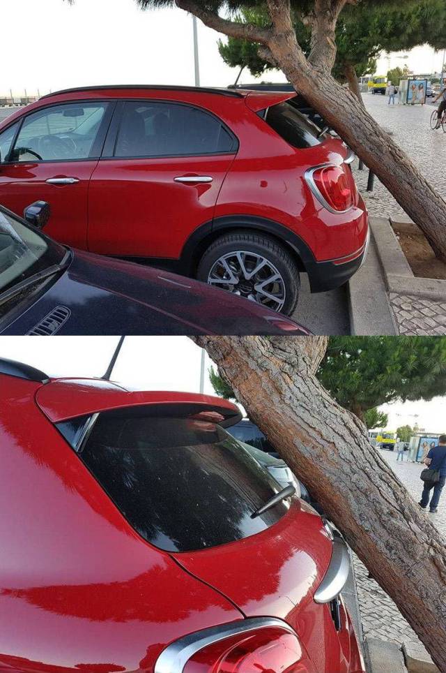 daily picdump weekend edition 74 pics 5.html - 74 HD Photos | Premium Gallery 2017