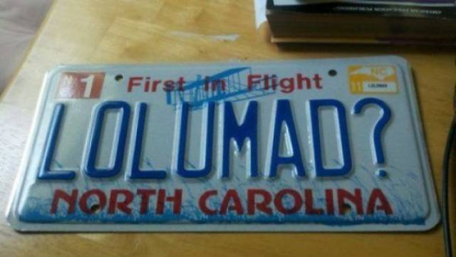 daily picdump 111 pics 3.html - 111 HD Photos | Premium Gallery 2017