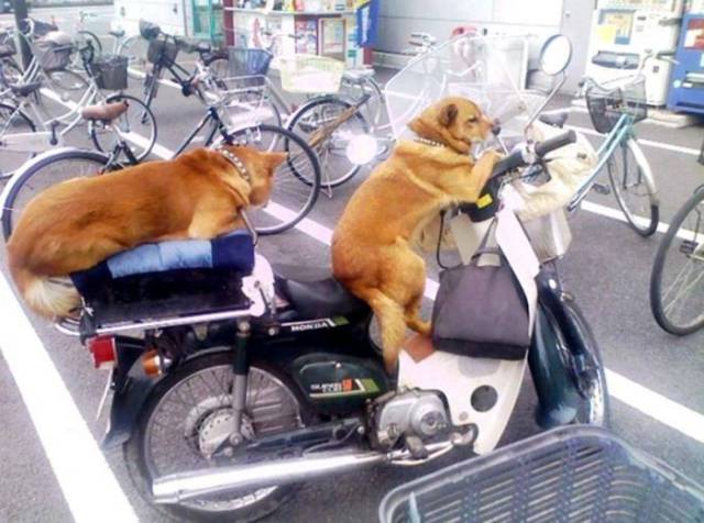 daily picdump 111 pics 3.html - 111 HD Photos | Premium Gallery 2017