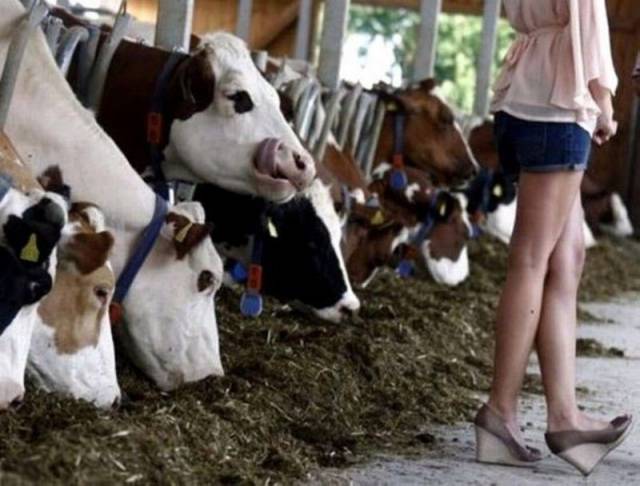 daily picdump 111 pics 3.html - 111 HD Photos | Premium Gallery 2017