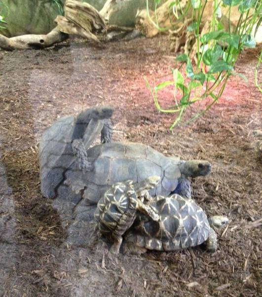 daily picdump 111 pics 3.html - 111 HD Photos | Premium Gallery 2017