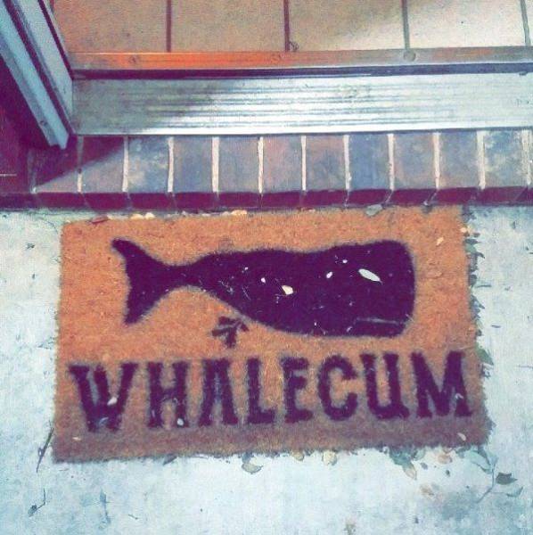 daily picdump 111 pics 3.html - 111 HD Photos | Premium Gallery 2017