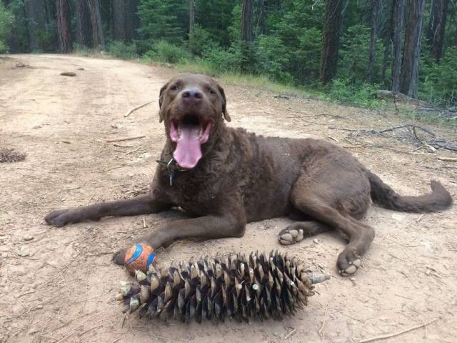 daily picdump 111 pics 3.html - 111 HD Photos | Premium Gallery 2017