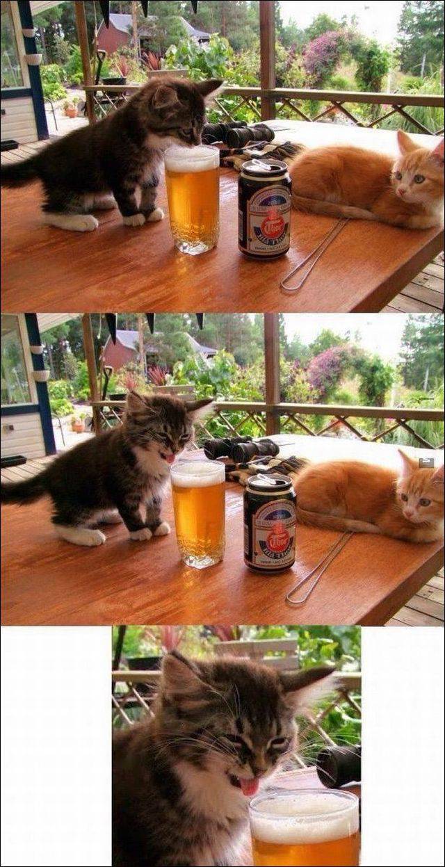 daily picdump 111 pics 3.html - 111 HD Photos | Premium Gallery 2017