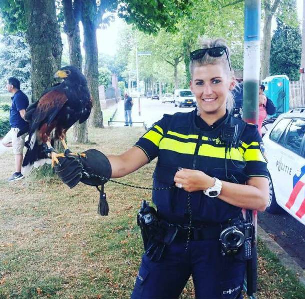 daily picdump 82 pics 25.html - 82 HD Photos | Premium Gallery 2017