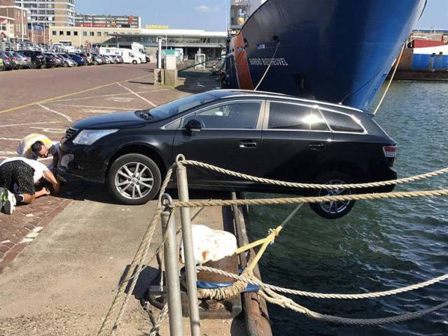 daily picdump 82 pics 25.html - 82 HD Photos | Premium Gallery 2017