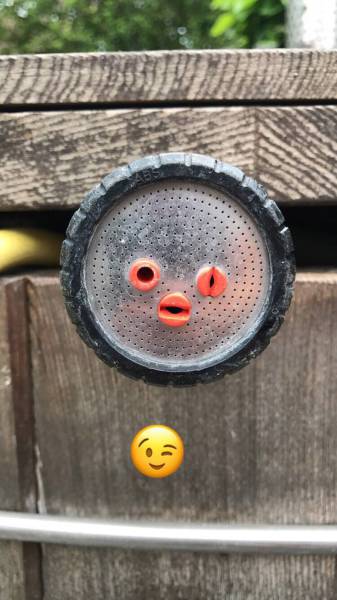 daily picdump 82 pics 25.html - 82 HD Photos | Premium Gallery 2017