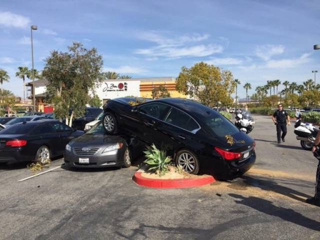 daily picdump 82 pics 25.html - 82 HD Photos | Premium Gallery 2017