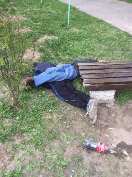 daily picdump 86 pics 34.html - 86 HD Photos | Premium Gallery 2017