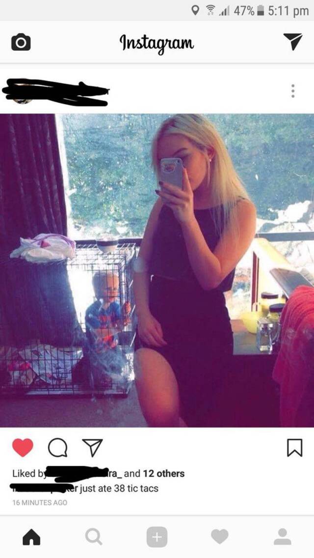 daily picdump 86 pics 34.html - 86 HD Photos | Premium Gallery 2017