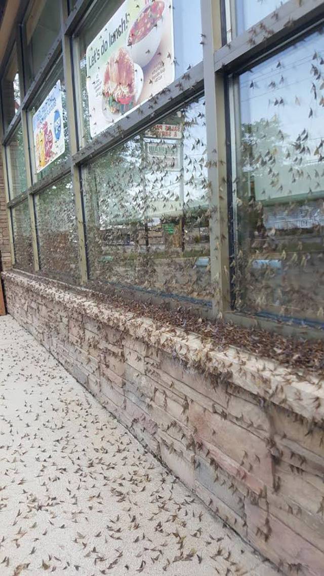 daily picdump 86 pics 34.html - 86 HD Photos | Premium Gallery 2017