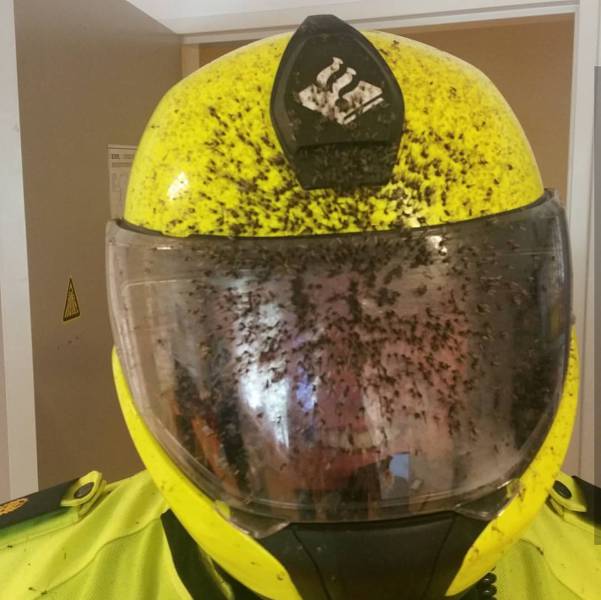 morning picdump 52 pics 1.html - 52 HD Photos | Premium Gallery 2017