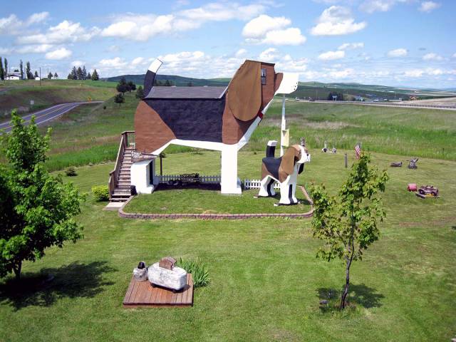 morning picdump 52 pics 1.html - 52 HD Photos | Premium Gallery 2017