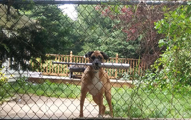 morning picdump 52 pics 1.html - 52 HD Photos | Premium Gallery 2017