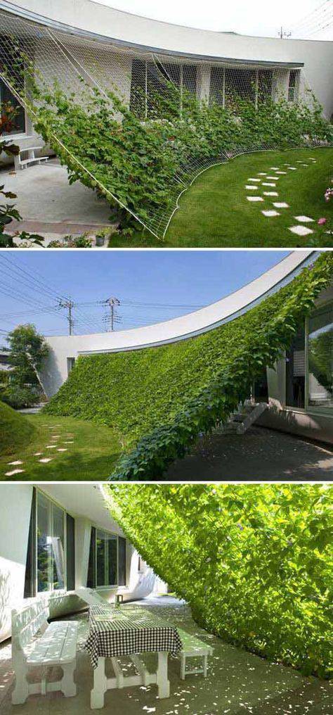 morning picdump 52 pics 1.html - 52 HD Photos | Premium Gallery 2017