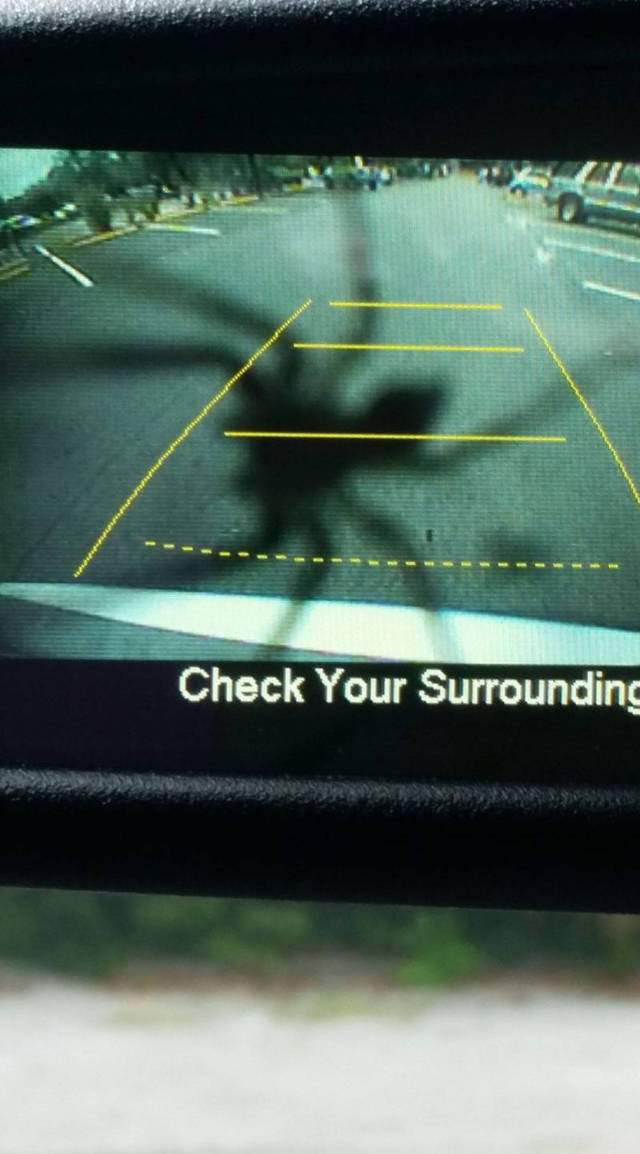 morning picdump 52 pics 1.html - 52 HD Photos | Premium Gallery 2017