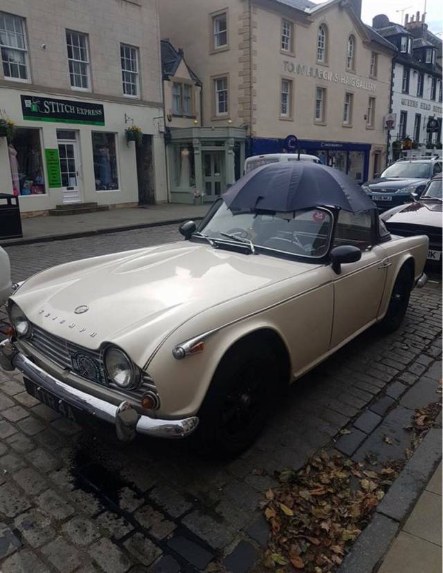 morning picdump 52 pics 1.html - 52 HD Photos | Premium Gallery 2017