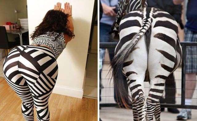 daily picdump 89 pics 19.html - 89 HD Photos | Premium Gallery 2017