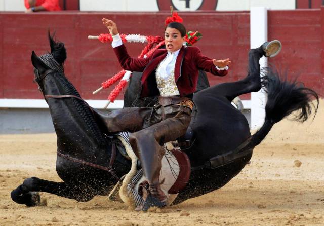 daily picdump 89 pics 19.html - 89 HD Photos | Premium Gallery 2017