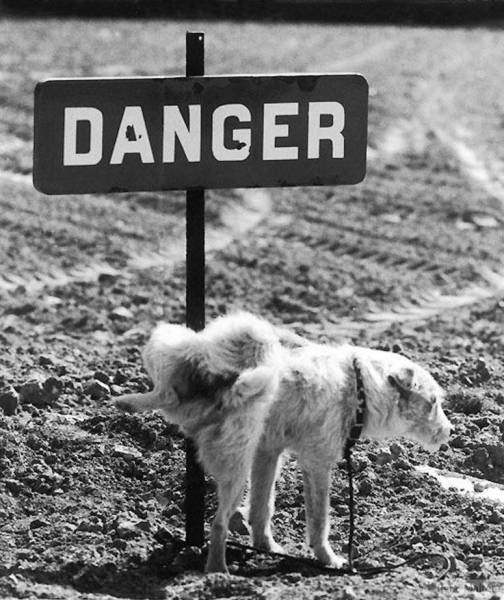 daily picdump 89 pics 19.html - 89 HD Photos | Premium Gallery 2017