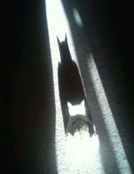 daily picdump 89 pics 19.html - 89 HD Photos | Premium Gallery 2017