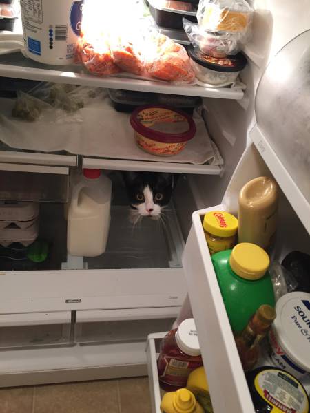 morning picdump 50 pics 9.html - 50 HD Photos | Premium Gallery 2017