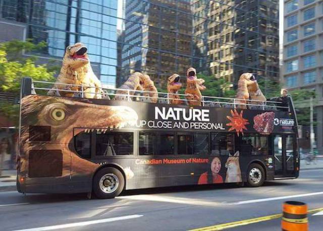 morning picdump 50 pics 9.html - 50 HD Photos | Premium Gallery 2017