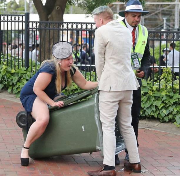 Sometimes the Only Question is WTF?