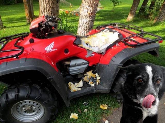 daily picdump 94 pics 5.html - 94 HD Photos | Premium Gallery 2017