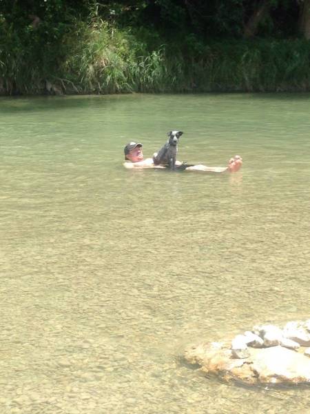 daily picdump 94 pics 5.html - 94 HD Photos | Premium Gallery 2017