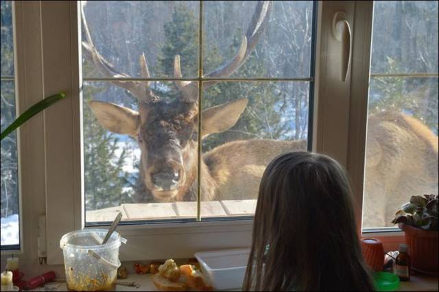 daily picdump 94 pics 5.html - 94 HD Photos | Premium Gallery 2017