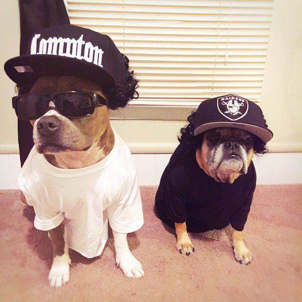 daily picdump 94 pics 5.html - 94 HD Photos | Premium Gallery 2017