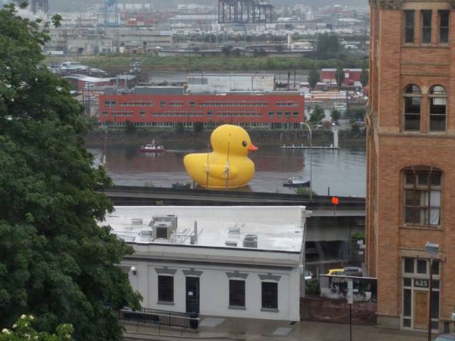 daily picdump 94 pics 5.html - 94 HD Photos | Premium Gallery 2017