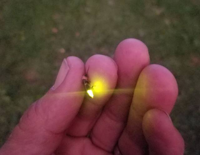 daily picdump 94 pics 5.html - 94 HD Photos | Premium Gallery 2017