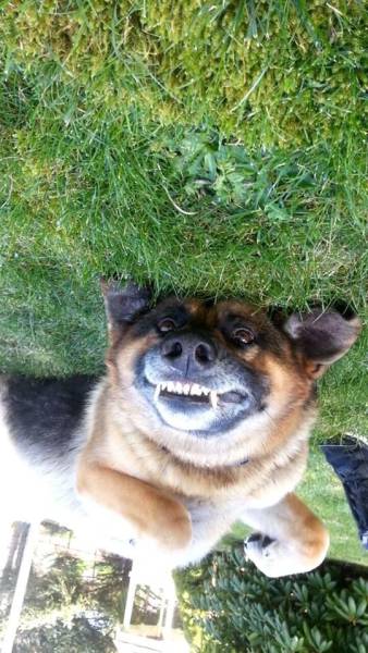 daily picdump 94 pics 5.html - 94 HD Photos | Premium Gallery 2017