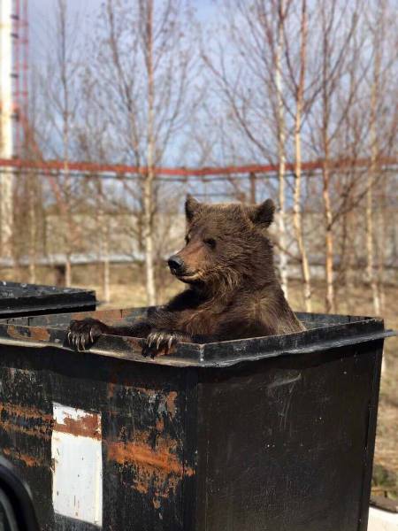 daily picdump 94 pics 5.html - 94 HD Photos | Premium Gallery 2017