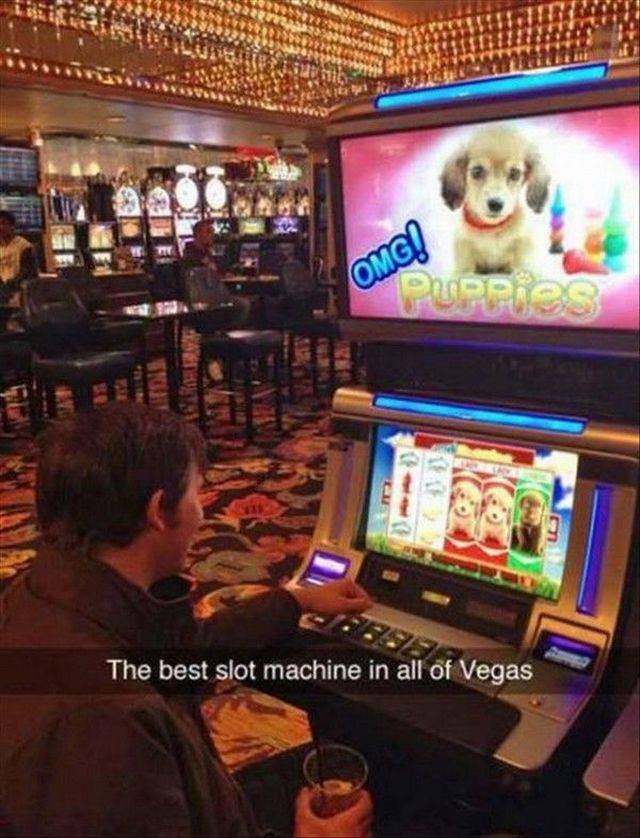 daily picdump 94 pics 5.html - 94 HD Photos | Premium Gallery 2017