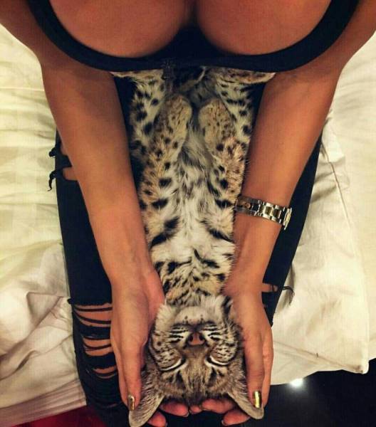 grownup corner 53 pics 2 gifs 9.html - 53 HD GIF | Premium Gallery 2017