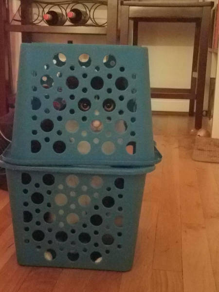 morning picdump 53 pics 3.html - 53 HD Photos | Premium Gallery 2017