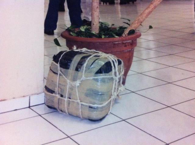 morning picdump 53 pics 3.html - 53 HD Photos | Premium Gallery 2017