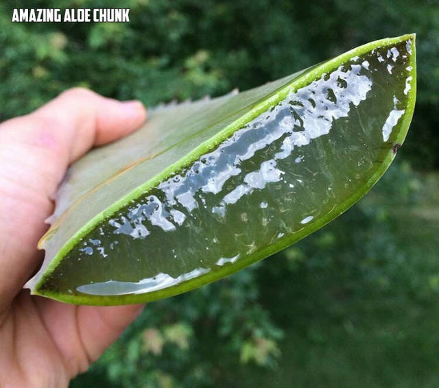 morning picdump 53 pics 3.html - 53 HD Photos | Premium Gallery 2017