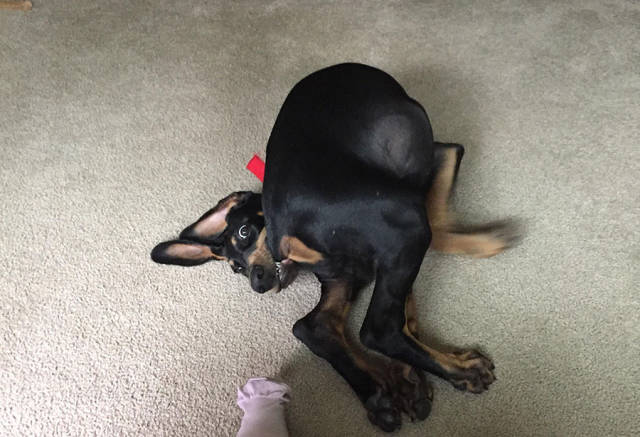 morning picdump 53 pics 3.html - 53 HD Photos | Premium Gallery 2017