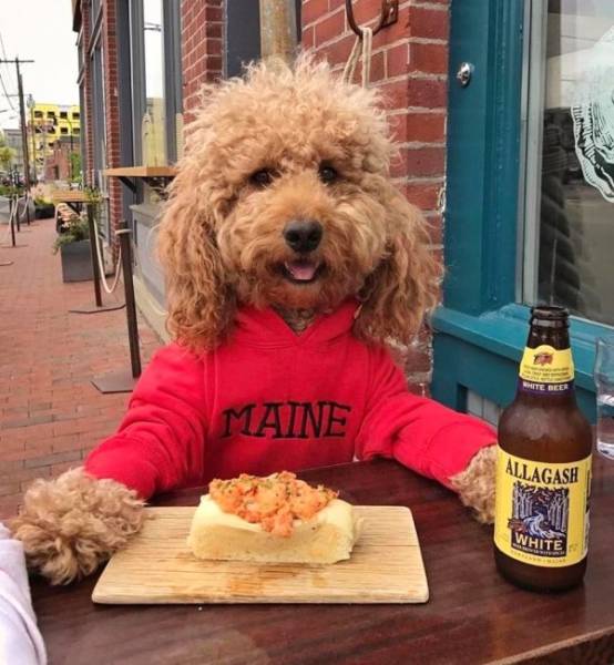 Daily Picdump [WEEKEND EDITION]