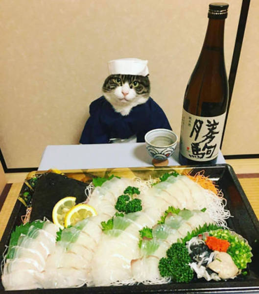 Daily Picdump [WEEKEND EDITION]