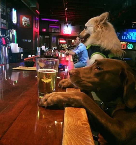 Daily Picdump [WEEKEND EDITION]