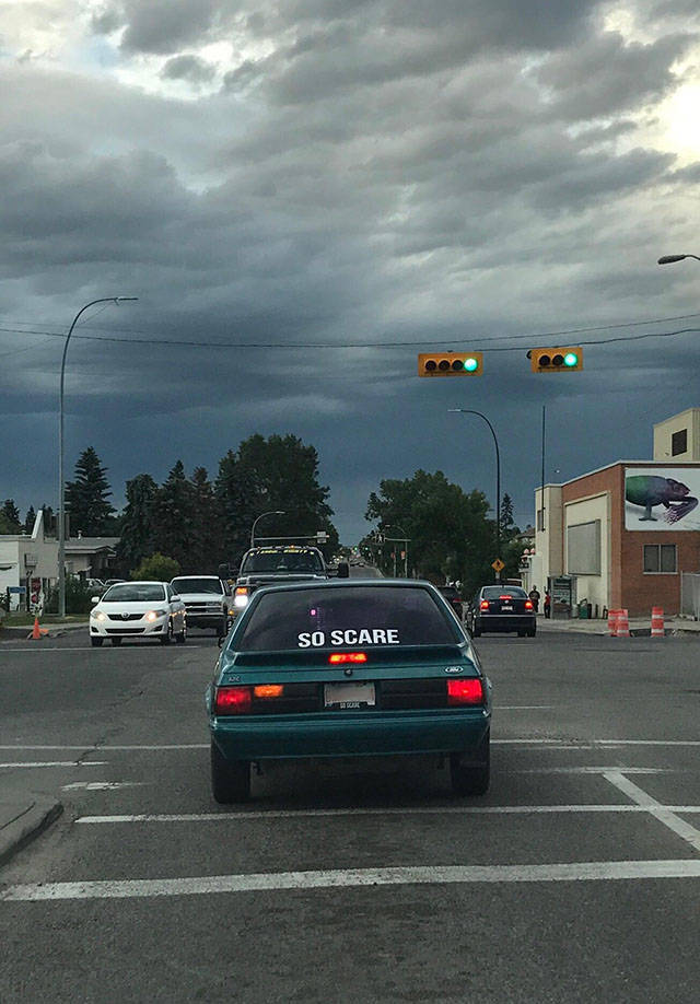 Daily Picdump [WEEKEND EDITION]