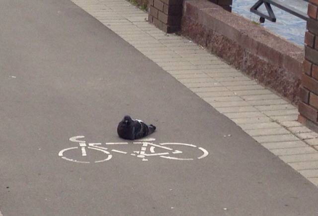 daily picdump 107 pics 45.html - 107 HD Photos | Premium Gallery 2017