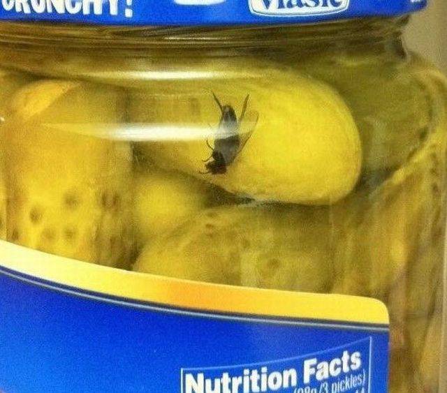 daily picdump 107 pics 45.html - 107 HD Photos | Premium Gallery 2017