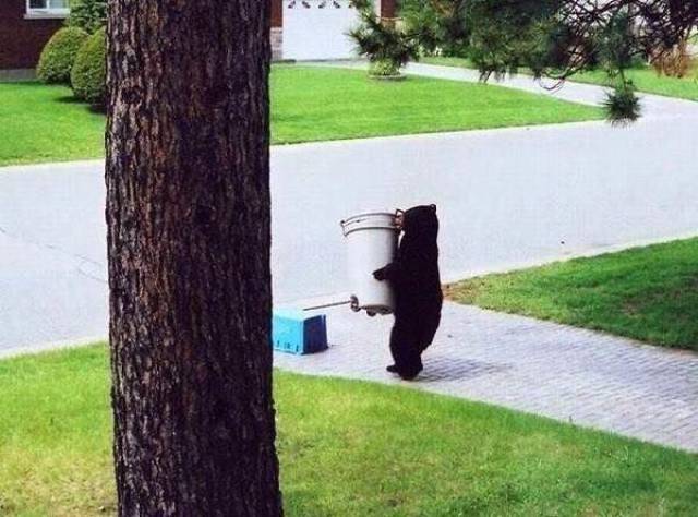 daily picdump 107 pics 45.html - 107 HD Photos | Premium Gallery 2017